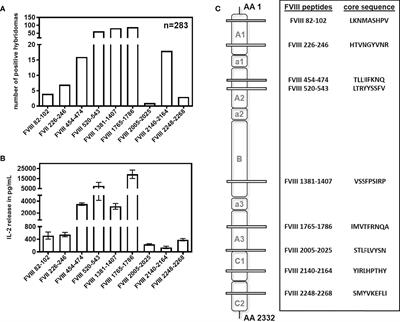 Modulating the microenvironment during FVIII uptake influences the nature of FVIII-peptides presented by antigen-presenting cells